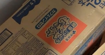 「ママ！！みて！！」　ダンボール箱を見た息子が……　まさかの光景に「面白い発見」「ほんと奇跡」