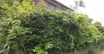 【動画】庭じまいの様子