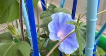 【画像】驚きの変化