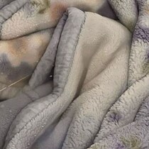 【画像】毛布の状態