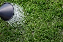 「雑草が生えてくるのが嫌で購入」夏の草むしりを減らせる“雑草対策グッズ”3選　「施工が楽で簡単」「かなり庭がスッキリ」