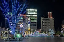【画像：ランキング30位～1位を見る】
