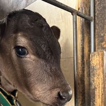 【画像】目を疑う光景