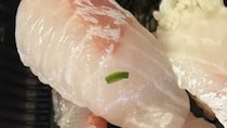 ロピアで買ったパック寿司→開けたら……「これ1000円はやばい」　まさかの中身に「買った自分をほめたい」