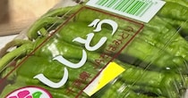 68円で売っていた「ししとう」→インコたちにあげたら……　“驚きの光景”に「めちゃくちゃかわいい」「辛くないんかな?!」