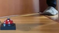 パパが部屋の前に“ベル”を置いたら早速「チーン」の音→ドアを開けると……「可愛すぎるｗｗ」使いこなした“驚きの正体”に「笑った」