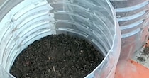 ペットボトルの半分に土を入れて種をまくと……　110日後の光景に「とても感動」「これはいいアイデア」【海外】