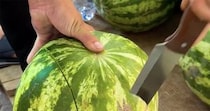 【動画】切り方を見る