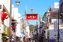 【画像：ランキング16位～1位を見る】