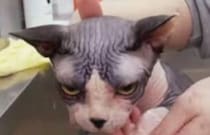 【画像】記事を読む