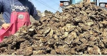 【画像】悲劇を招いた経緯