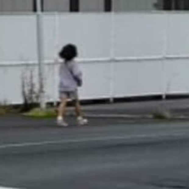 『はじめてのおつかい』に感化された8歳娘が近所のセブンへ……まさかの結果に「使命感が伝わるwww」「堅実」
