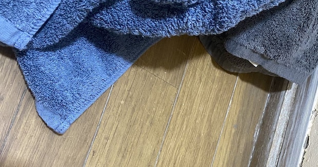 洗濯機に服を入れようとした瞬間……「ギャー!!!」 心臓が跳ねる光景に「勘弁して」「泣きそう」