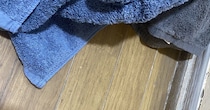 洗濯機に服を入れようとした瞬間……「ギャー!!!」　心臓が跳ねる光景に「勘弁して」「泣きそう」
