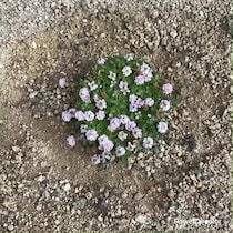 【画像】9年後を見る