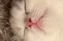 【動画】寝相をもっと見る
