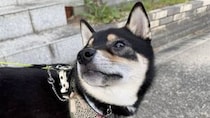 【画像】目を疑う光景