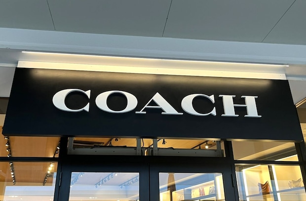 「カードが多い人に絶対オススメ」COACHの“大容量ウォレット”に絶賛の声 「まさに念願の財布」「柔らかくて使いやすい」
