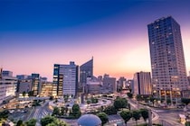 【画像：ランキング20位～1位を見る】