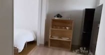 築50年1DK団地、レトロ感を生かした“ミニマルかわいい”お部屋がステキ　「とてもおしゃれ」「素敵なお住まい」