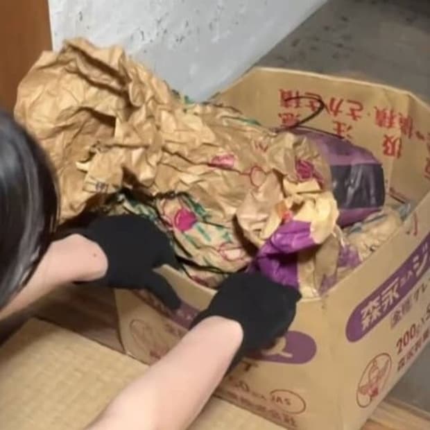 祖母宅で“異様に重い箱”発見→中には……手がふるえる光景が38万再生「お宝！」「羨ましい」「ガンガン売れますよ」