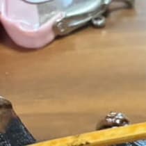 シルバー人材センターの人に駐車場を貸したら……　“まさかの光景”に衝撃走る「隣の家！」「癖強すぎ」