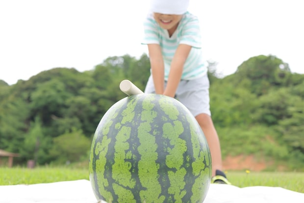「切ってもスイカやった!」 夏にいつも人気の“スイカパン”は贈り物にもぴったり!「想像してたのよりずーーっと美味しい」「可愛すぎてテンション爆上がり」
