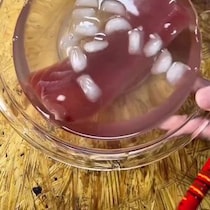 【画像】目からウロコの光景