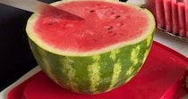 【画像】目からウロコの切り方