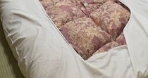 急きょ決めた1人旅→1時間前に予約した部屋に入ると……　まさかの光景が370万表示「こういうの憧れる」「豪華すぎます」