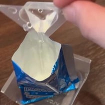 【画像】フルーツが輝く5つのスイーツ