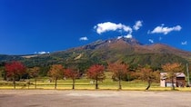 【関西在住者に聞いた】「買ってきてほしい新潟のお土産」ランキングTOP29！　第1位は「笹だんご（田中屋本店）」【2026年最新調査結果】