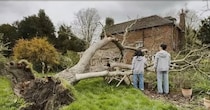 英国で築500年の家に住む夫妻、庭の巨木が倒れてしまい……　生まれ変わった姿に「絵本にできそう」「ジ〜ンとします」
