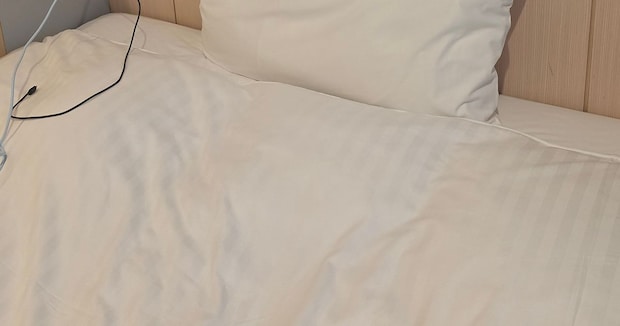 ホテルにぬいぐるみを置いたまま外出→部屋に戻ると……「有能すぎ」 まさかの光景に「これはナイスすぎる」「チップあげたい」