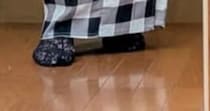 【画像】驚きの姿
