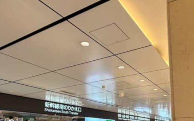 東京駅にある“石の柱”→近づいてよく見ると……　驚きの光景に「今度東京駅に行ったとき見てみます」
