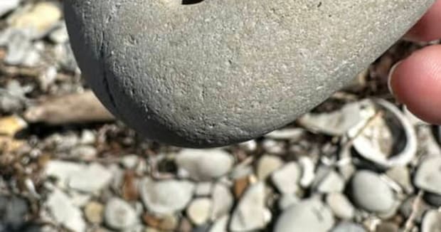 海岸で転がっていた石→拾ったら……「これはすごい！」　驚きの光景に「うらやましい」「世界はまだまだ面白い」と521万表示