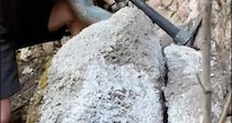 崖で見つけた巨大な石→ハンマーで割ってみると……「うわぁ！」　衝撃の光景に「これはなに？」「すごい発見！」【海外】
