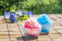 【画像：京都府の「かき氷」の名店10選】