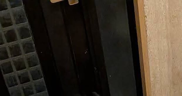 帰宅途中、家にいた夫から届いた“まさかの1枚”に妻仰天「こりゃたまらん」「宝塚トップスターやんか」
