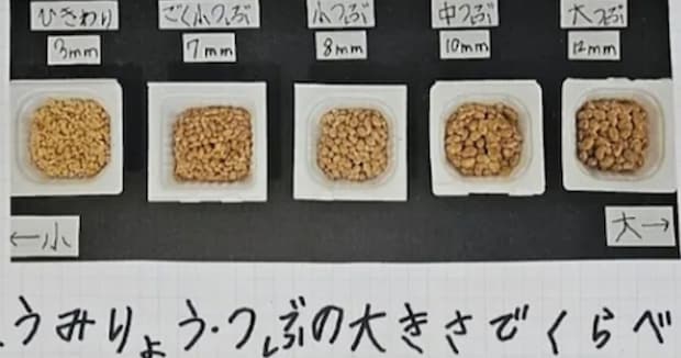 小2娘が納豆の自由研究→納豆メーカーに送ってみると……　驚がくの内容で予想外の展開へ「学会発表にできそう」「就職できそう」