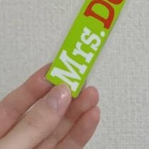 【画像】目からウロコの完成品（全体を見る）