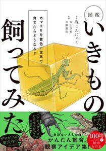 【画像】カマキリを黄色い世界で育てた結果
