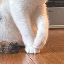 【画像】全身を見る