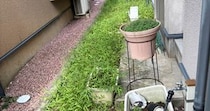 【画像】完成した状態