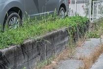 「15袋購入」「雑草が生えなくなりました」　アイリスオーヤマの“防草砂”に「砂をまいて水まくだけ。手軽すぎる！」「本当に楽になりました」の声