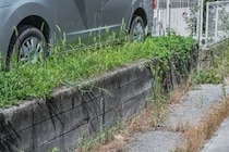 【画像】アイリスオーヤマの“防草砂”