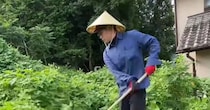 じいちゃんが遺した「雑草ボーボーの荒れ地」→孫が段ボールをびっしり敷いて、1カ月後……　目を疑う光景に反響