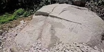 【画像】2カ月後の光景