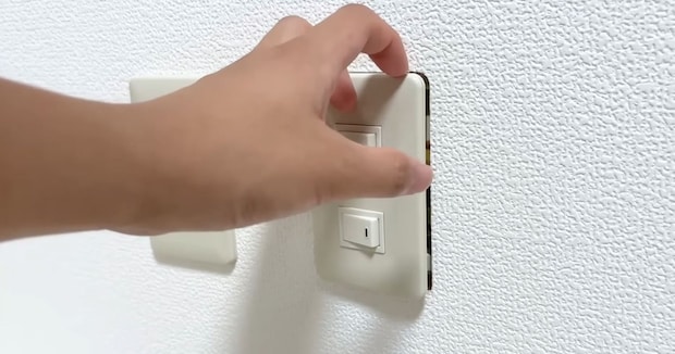 よくある電気スイッチを取り外すと…… 壁の中に広がった“驚きの光景”に「なんと!」「見入ってしまいます」